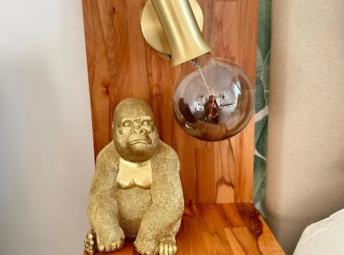 Coco Jungle - L'aventure Appartement
