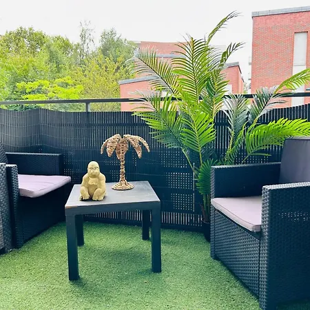 Coco Jungle - L'aventure